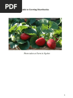 Strawberry Manual Final Aug - 2017