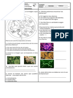 Guía de Ciencias Reino Monera