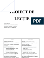 Proiect Didactic Clase Simultane