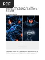 La Relación Entre El Sistema Nervioso y El Sistema Endocrino