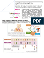 Corrigé La Maturation Du Systeme Immunitaire en 3 Points.