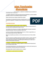 Pruebas Funcionales Musculares y EEII