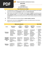 P1-BIO2-Actividad 4 - Sistema Endocrino Danna Zuleika Antunez Piña 404M