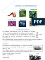 Los Vertebrados e Invertebrados