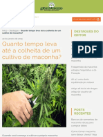 Quanto Tempo Leva Até A Colheita de Um Cultivo de Maconha? - Growroom