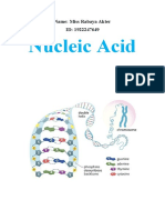 Nucleic Acid: Name: Miss Rabaya Akter ID: 1922247649