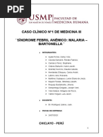 Informe 1 Síndrome Febril Anémico - Malaria - Bartonella