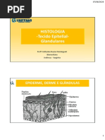 3 Histologia Tecido Epitelial Glandular