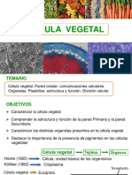 Célula Vegetal Dra P. Albornoz - PDF Biol. Celular