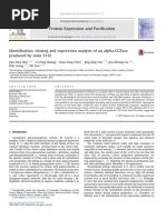 Protein Expression and Puri Fication