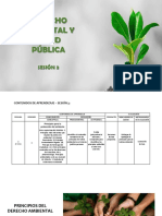 Derecho Ambiental Sesion 3