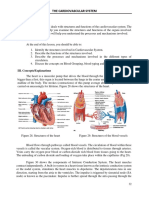 Manual Cardiovascular System