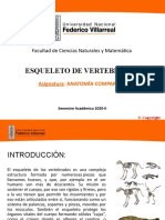 ESQULETO DE VERTEBRADOS - UNFV - EAP Biología