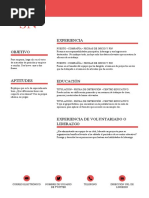 Modelo CV para Trabajo