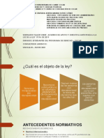 Diapositivas Ley 1996 de 2019