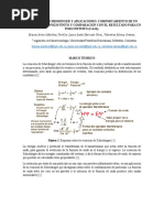 Informe 3 Fisica Moderna