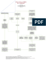 Ciclo de La Fibra Del Carbono - SEV