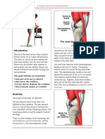 Pes Anserine Bursitis