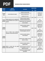 Cronograma Controles y Seguridad Informatica