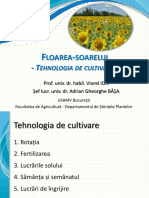 Floarea-Soarelui - Tehnologia de Cultivare