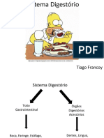 Aula 4 - Sistema Digestório