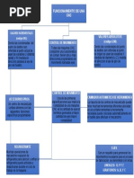 Mapa Conceptual