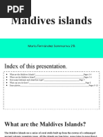 Maldives Islands: María Fernández Sommariva 2ºB