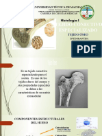 Histologia Del Sistema Oseo