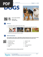 Dogs British English Teacher Ver2