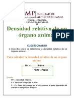 Informe Física Pract s8