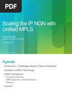 Scaling The IP NGN With Unified MPLS: Istvan Kakonyi