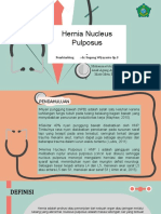 Referat HNP