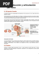 Producción y Articulación Del Tono