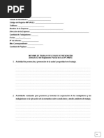 Formato Informe Del Delegado de Prevención - Artículo 52 LOPCYMAT