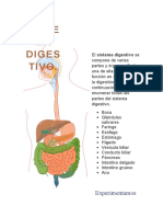 El Aparato Digestivo