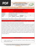 Informe de Instrumentista y Circulante