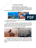 Poluarea Oceanelor - Referat