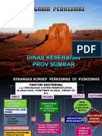 Program Perkesmas Di Puskesmas