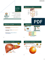 Tema 8. Bioquímica - Metabolismo Lípidos