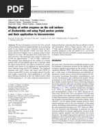 T Display of Active Enzymes On The Cell Surface of Escherichia Coli Using PgsA Anchor Protein and Their Application To Bioconversion