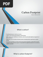 Carbon Footprint: Rajbeer Malhotra IX-D