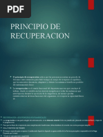 Principio de Recuperacion