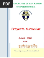 Proyecto Curricular Cebe