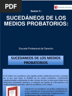 Tema 4 Sucedaneos de Los Medios Probatorios