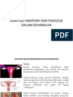 Adaptasi Anatomi Dan Fisiologi Dalam Kehamilan