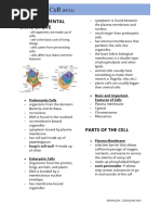 (Zoolone) Animal Cell