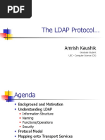 The LDAP Protocol : Amrish Kaushik