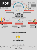 Mapa Mental Habilidades Gerenciales