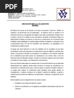 Caso de Estudio 11.3 "El Ejecutivo Aislado"