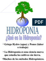 Hidroponia